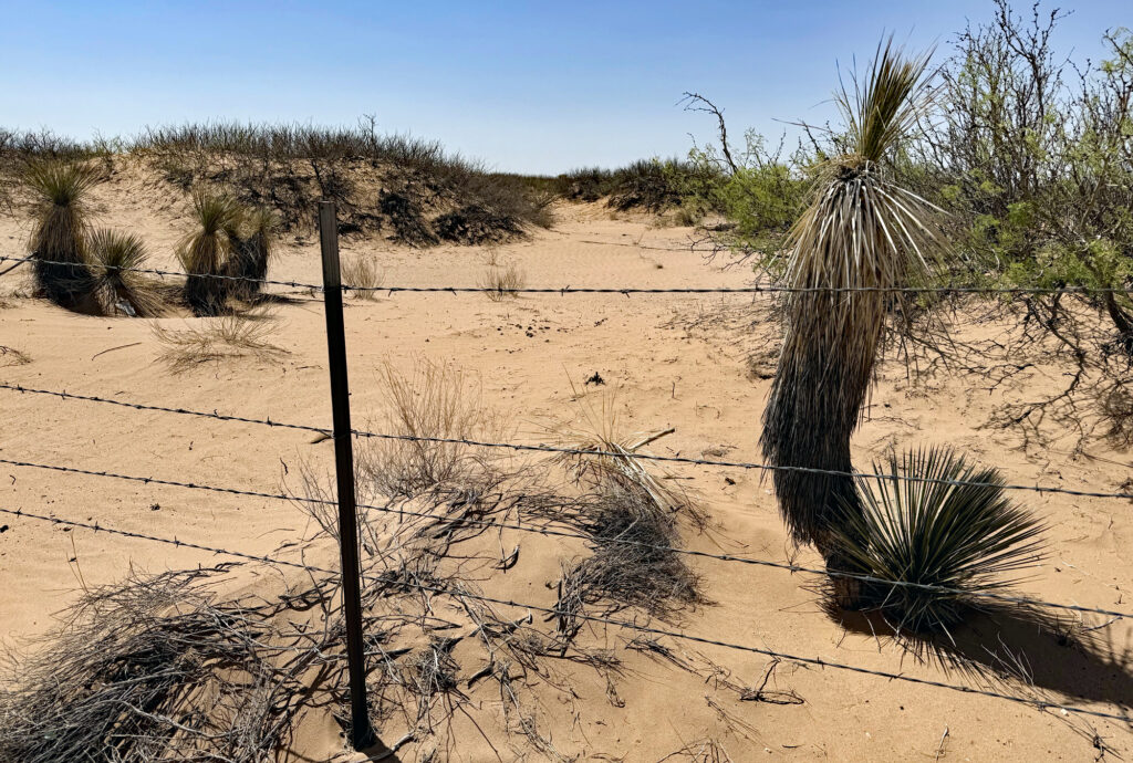 This is the spot where the new U.S. Army base meets up with Highway 9 near Santa Teresa. There are no signs that this is now military land.