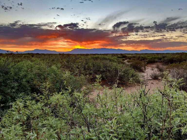 We can’t let billionaires take our land
