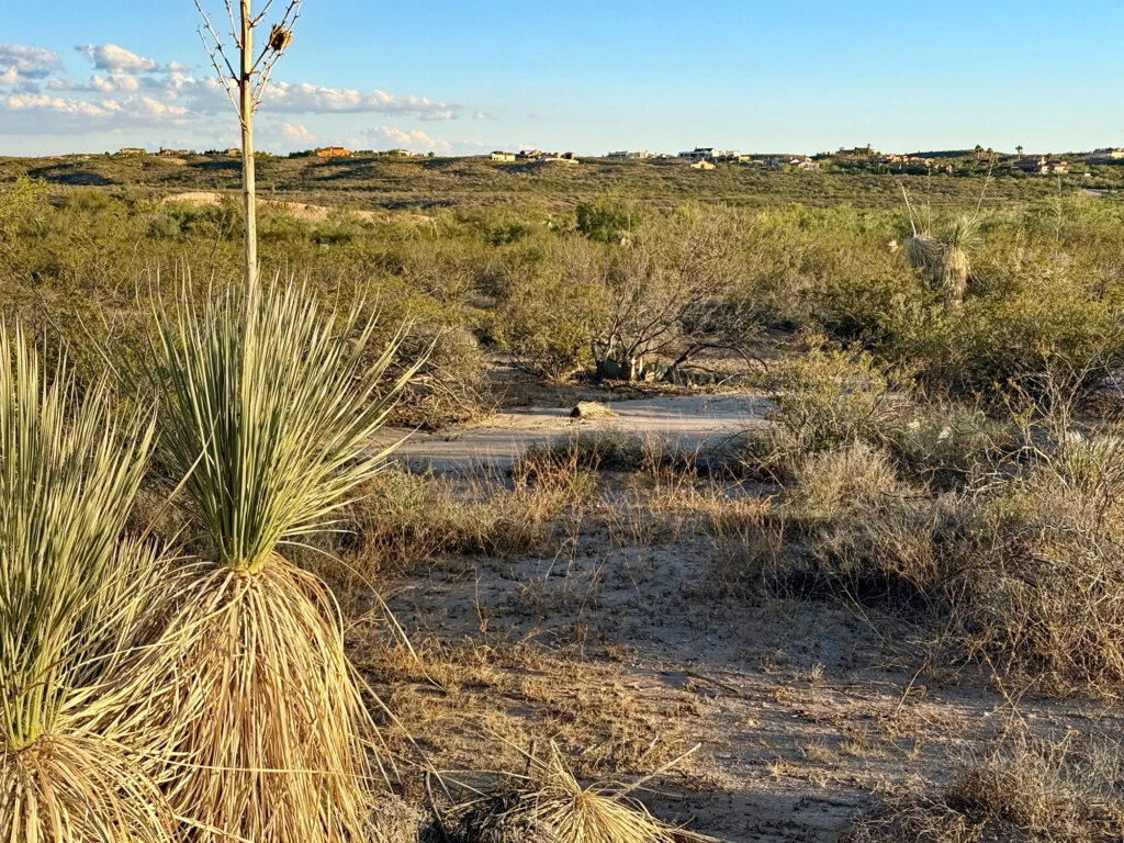 The La Tierra Escondida neighborhood as seen from land the state is considering swapping with the Mescalero Apache Tribe.